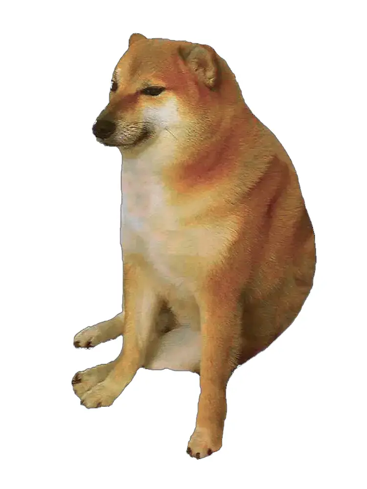 tp钱包如何买babydoge_钱包买什么色旺财_钱包买什么颜色的最守财