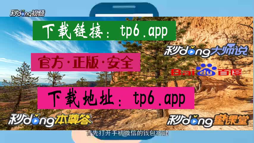 tp钱包如何用恢复功能_钱包怎么恢复_tp钱包找回