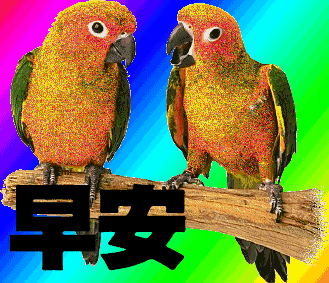 TP钱包怎么上新币-TP 钱包上新币攻略：如何第一时间获取新币动态并操作