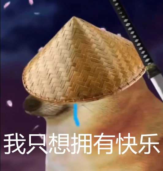tp钱包babydoge-TP 钱包里的 BabyDoge：我的幸运符和小宝贝