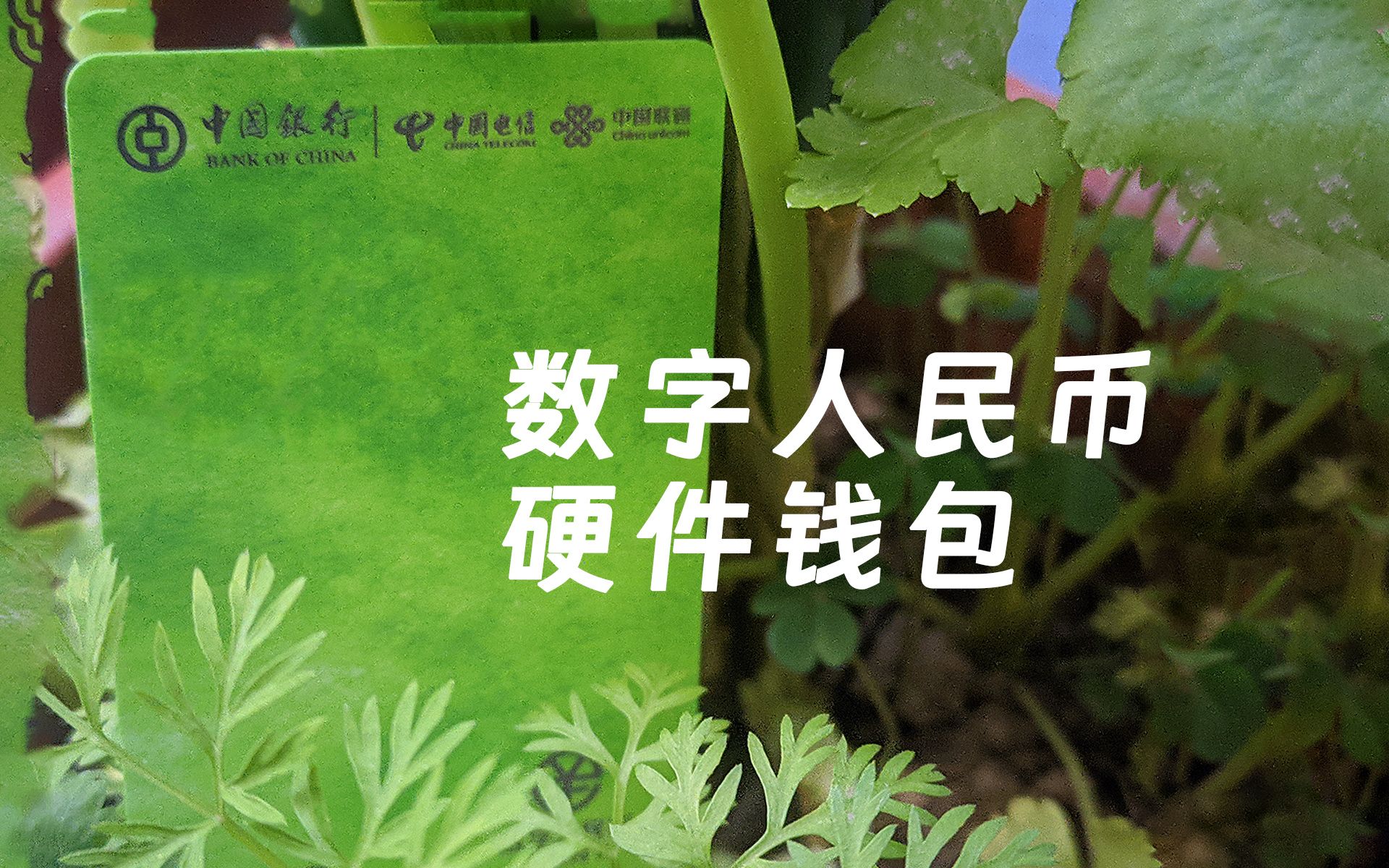 苹果钱包怎么下载_tp钱包苹果手机怎么下载_苹果手机下载tp钱包教程