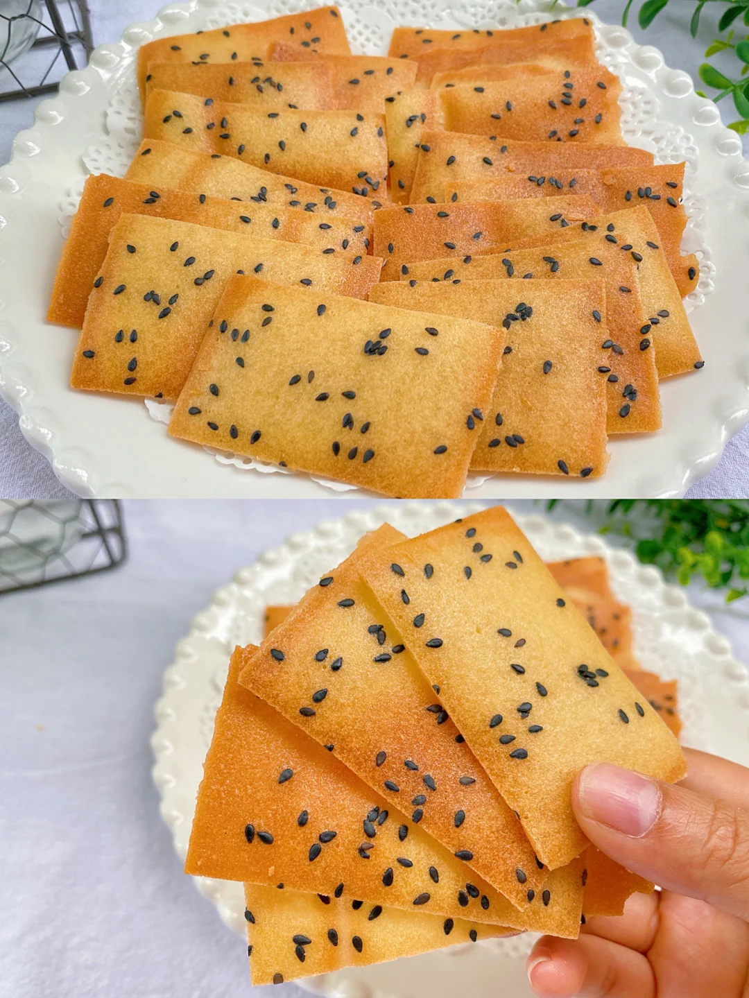钱包地址什么意思_钱包地址格式有什么区别_tp钱包薄饼地址