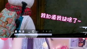 句子口袋 