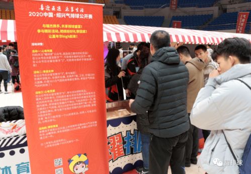 排球少年游戏中文版 