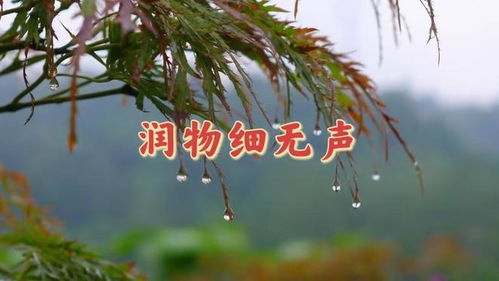 真恶狼传说游戏 