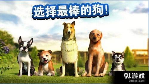 遇见你的狗狗游戏手机版 