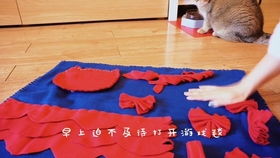 解压猫咪游戏手机安卓2024官方版v1.0.0 