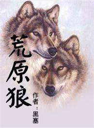 孤狼游戏 