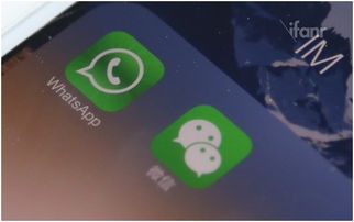 whatsapp跟微信的关系,全球社交巨头的异同解析