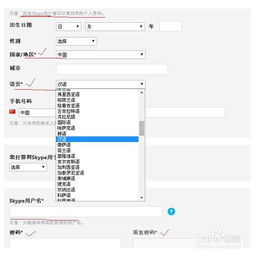 skype哪个是账号,如何轻松生成个性化账号