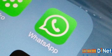 whatsapp要钱么,揭秘免费通讯背后的真相
