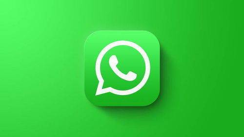 whatsapp能建立群聊吗,轻松构建社交圈子的桥梁