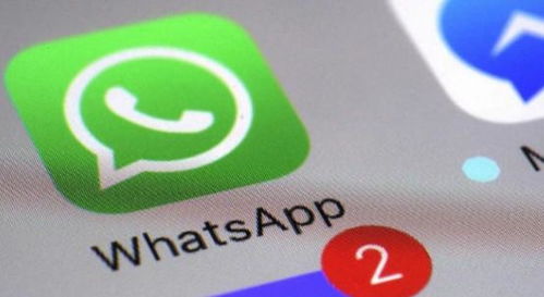 whatsapp 更新不了,用户面临无法升级的困境解析