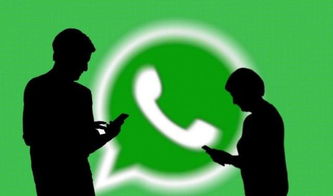whatsapp可以退出印度吗,WhatsApp助力印度民众实现移民梦想