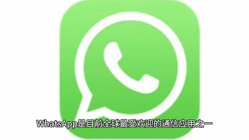 whatsapp可以 用么,跨越国界的即时通讯桥梁