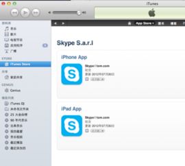 skype苹果电脑mac下载,苹果Mac电脑专属安装指南