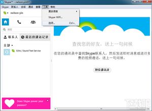 skype能打固话吗,轻松拨打固话新体验
