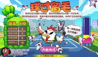 呆毛鸡育成日记 
