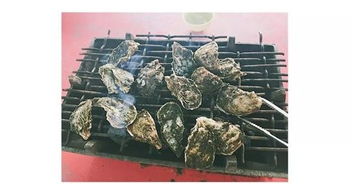 泡泡大作战游戏手机游戏 