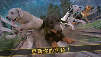 最强看门人 最强看门人