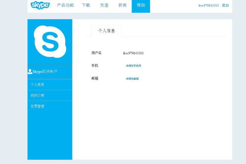 skype是什么名字,跨越时空的沟通传奇