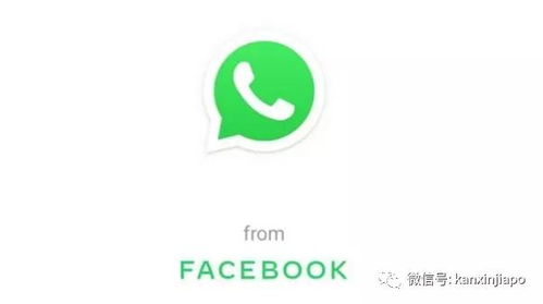 whatsapp 数据用不了,揭秘原因及解决方案