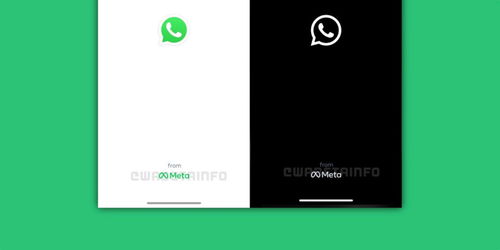 WhatsApp换号后,无缝衔接新号码体验”