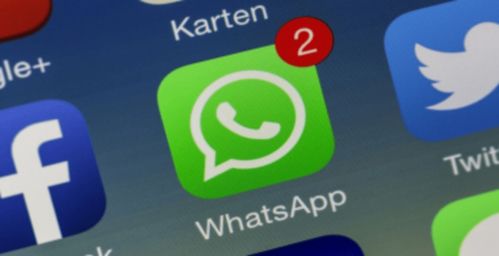 whatsapp简称什么意思,社交新纪元