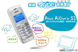 skype普通款,便捷沟通的得力助手