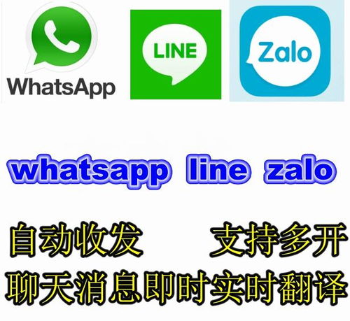 whatsapp什么意思翻译中文,社交新宠的全球影响力